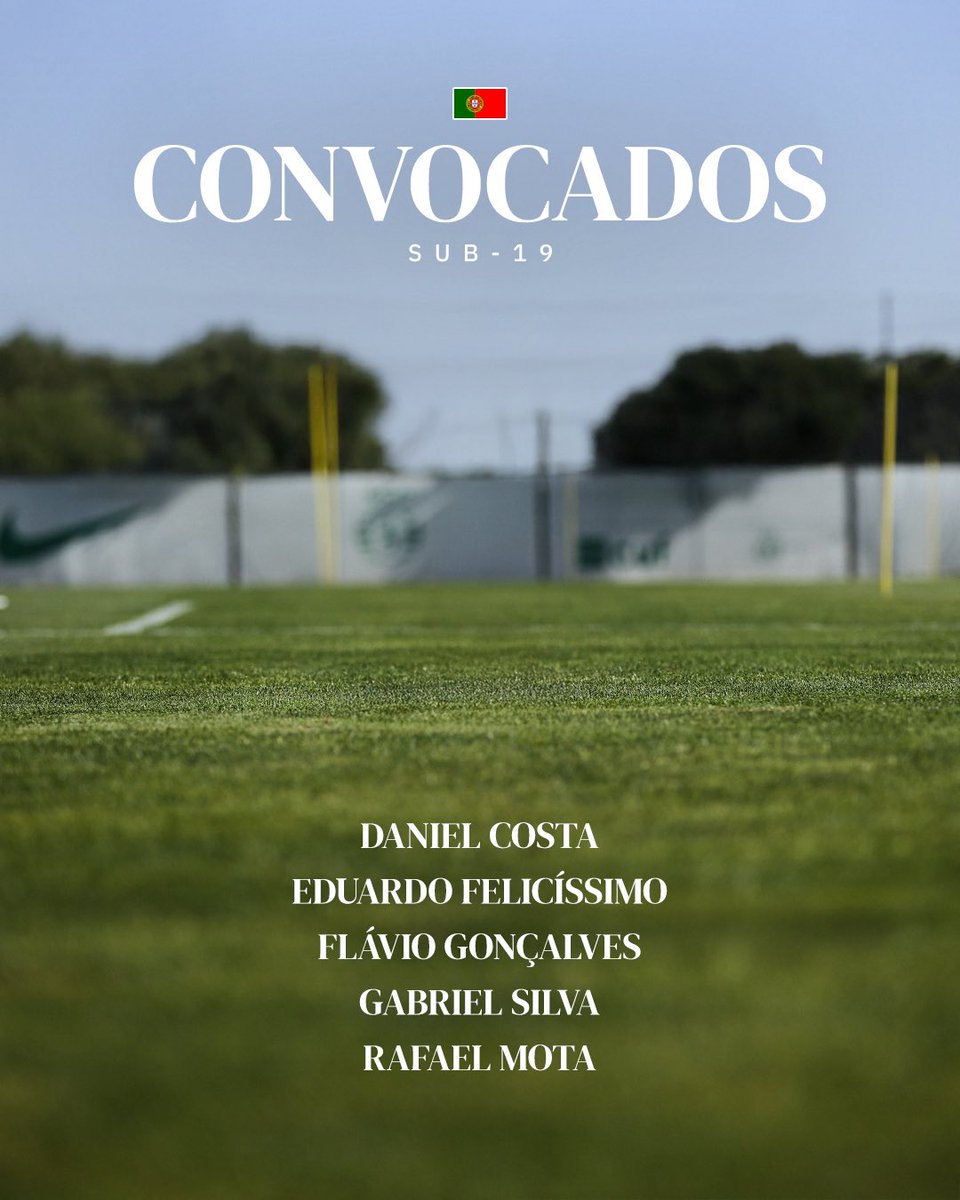 Sporting CP tweet media