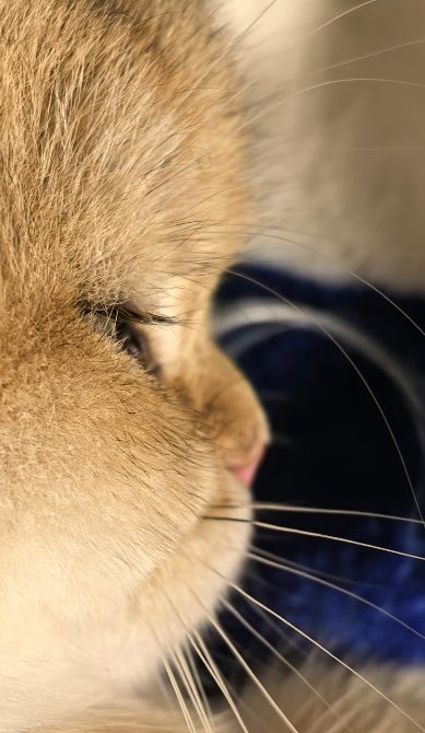 𝘀𝗿𝗻‎౨ৎ tweet media