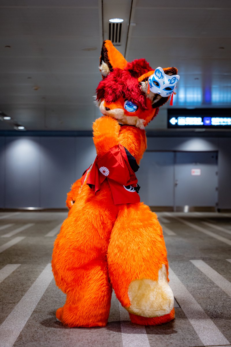 丹波( Dumbo ) & 秋葵( Fallkui ) 🔜2026？ tweet media