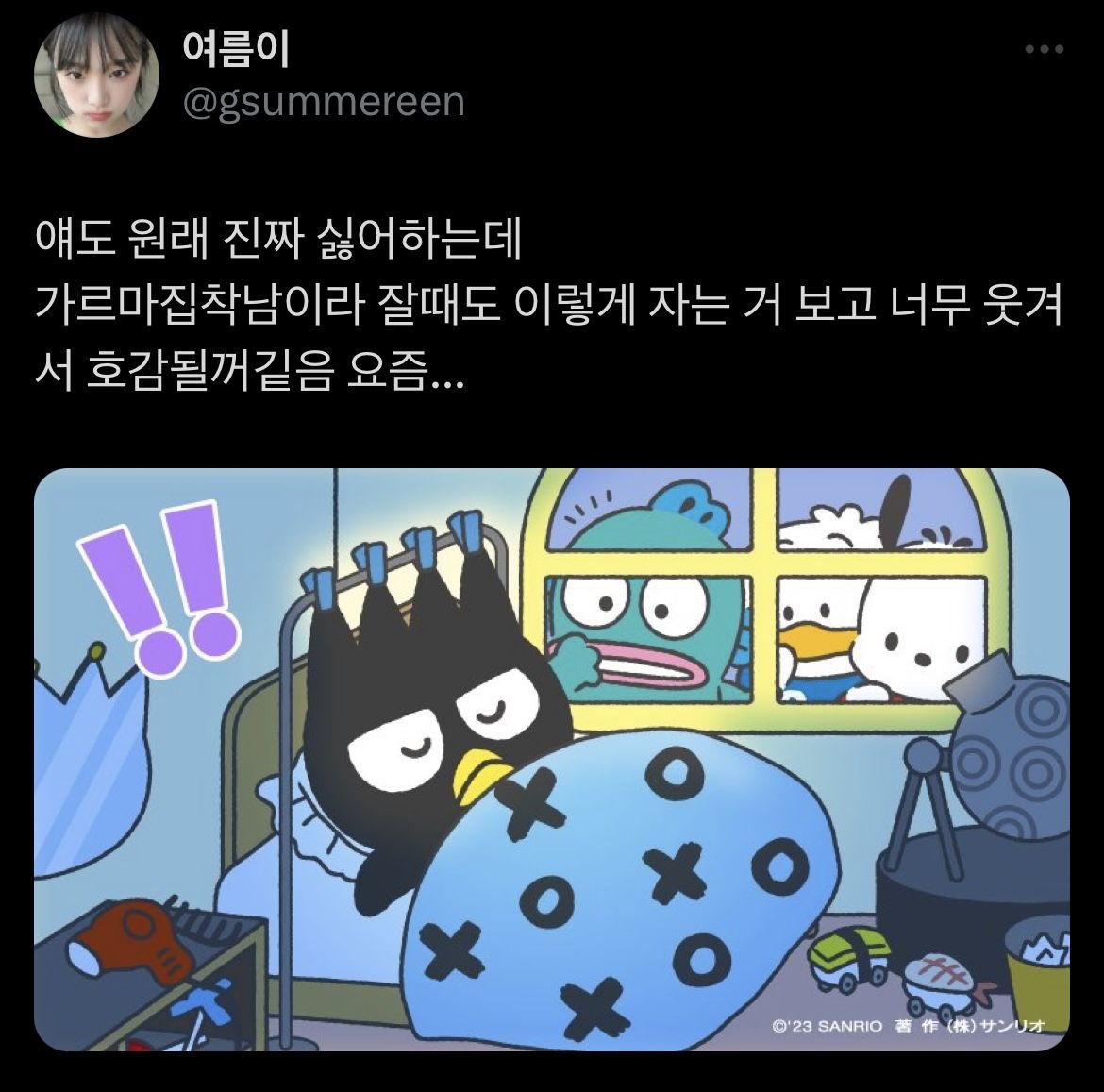 메이 tweet media