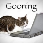 Biggo :) |🤓🐈‍⬛|VTuber tweet media