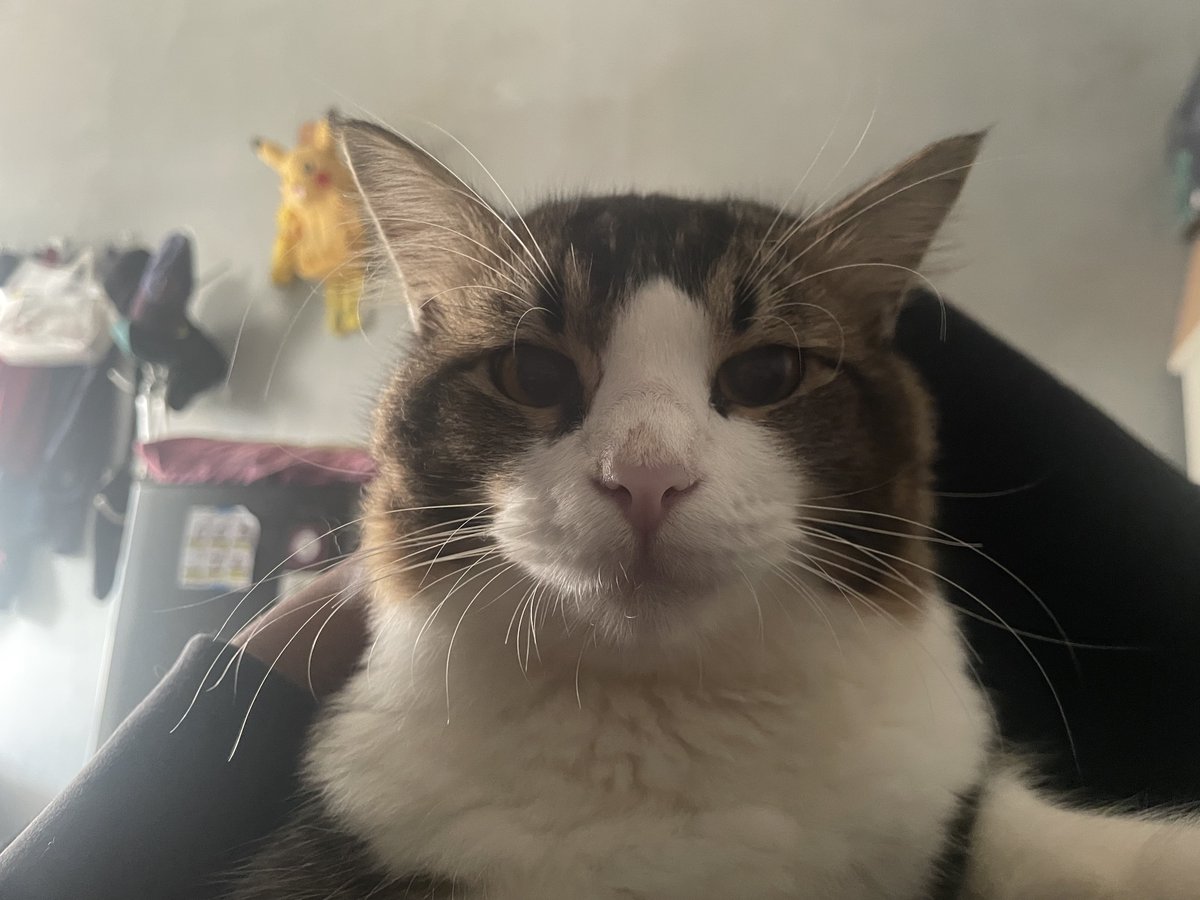 byenanas tweet media