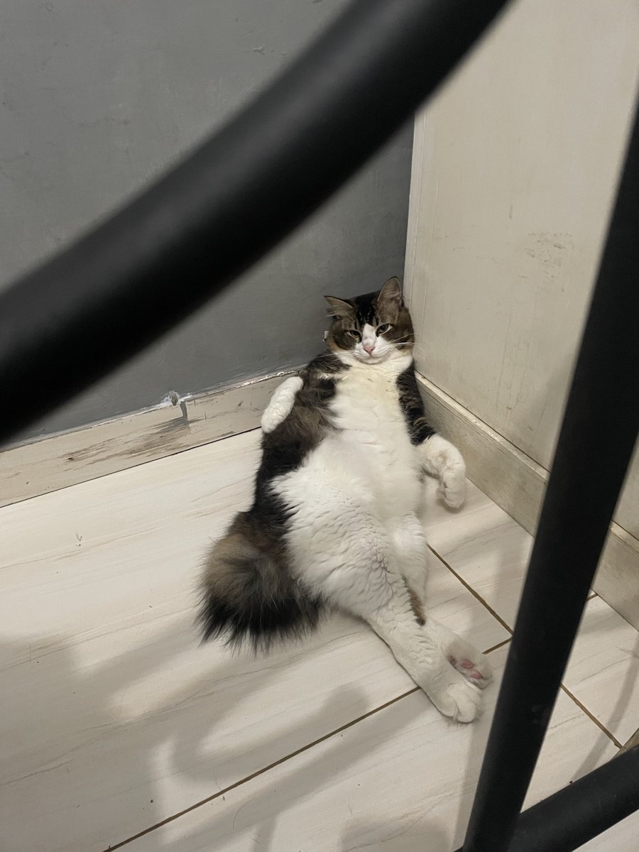 byenanas tweet media