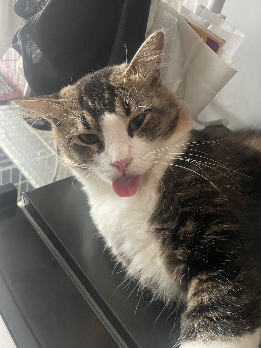 byenanas tweet media