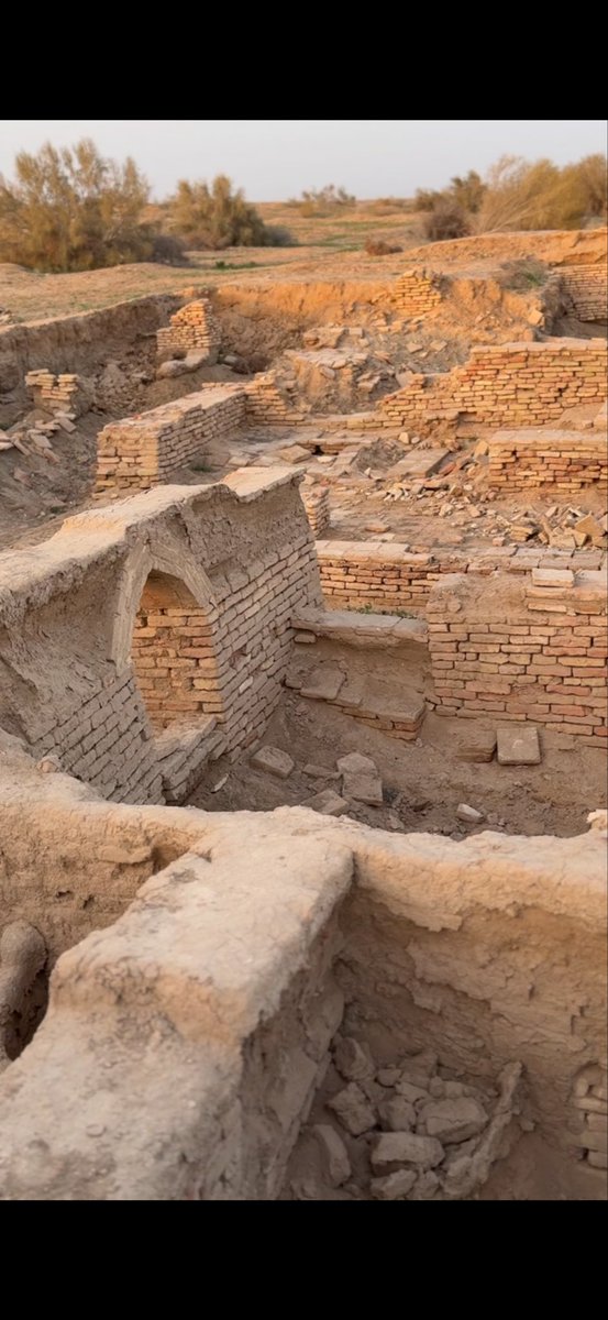 Musa Ýusup tweet media