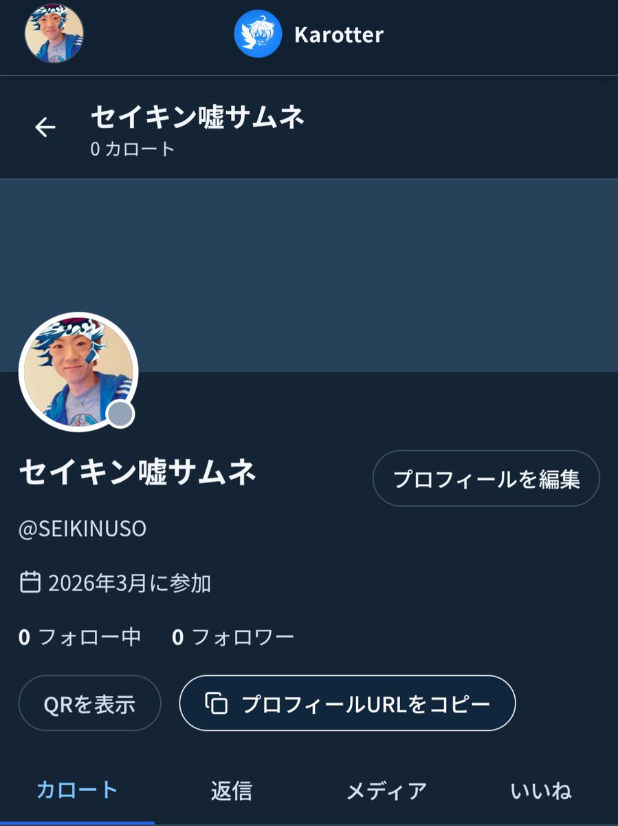 セイキン嘘サムネbot tweet media