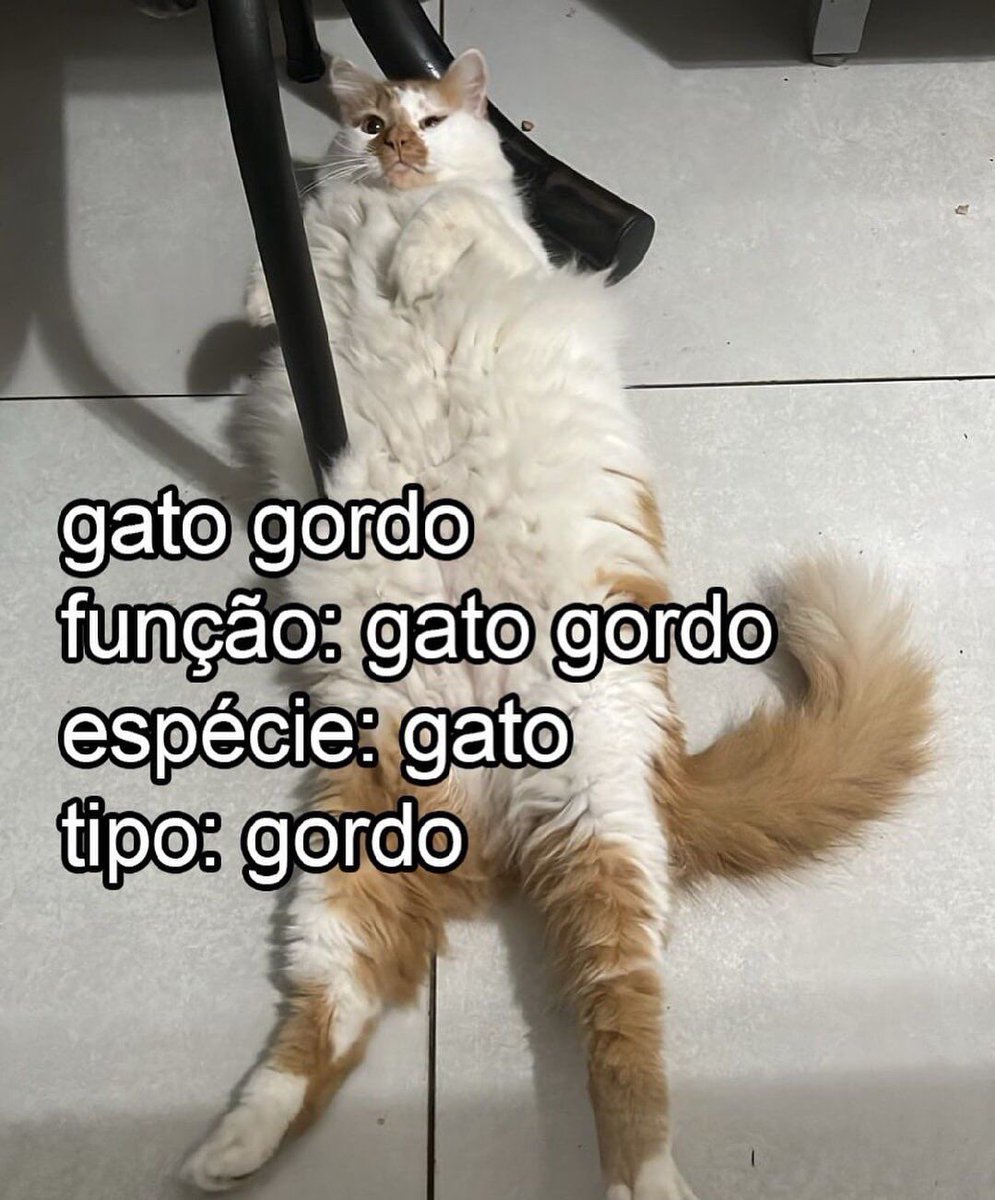 shitpostverdade's tweet photo. https://t.co/bKoJeVAFgX