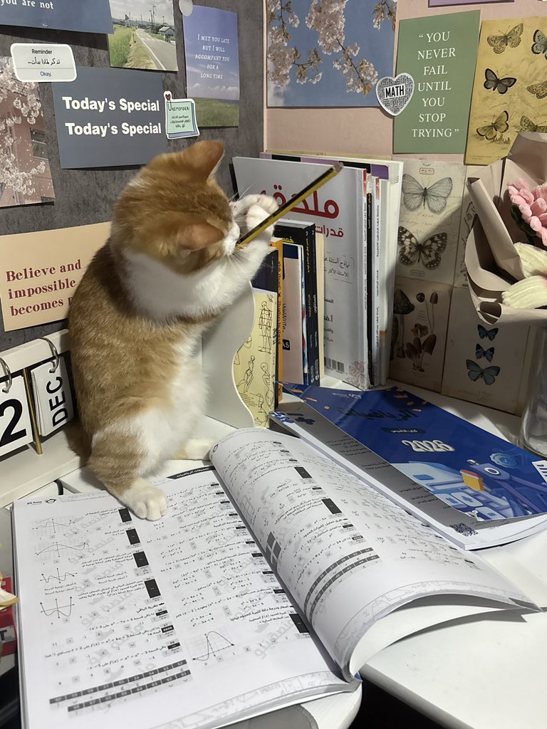 Misa𐙚 tweet media