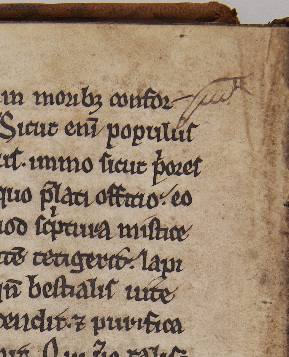 Marsh's Library tweet media