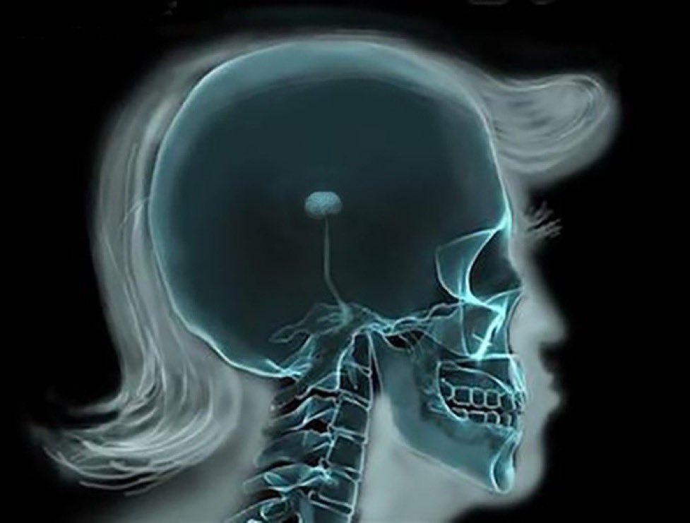 Greg 🚭🚯 tweet media