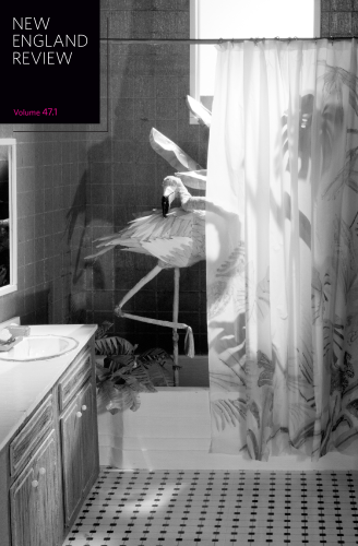 newpages's tweet image. New England Review Issue 47.1 is fresh with new poetry, fiction, nonfiction, translations, and "rediscoveries" of works worth another look. Read more at NewPages!

#litmags #literarycommunity #readingcommunity
@NERweb newpages.com/blog/magazines…