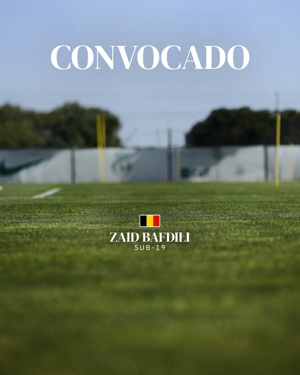 Sporting CP tweet media