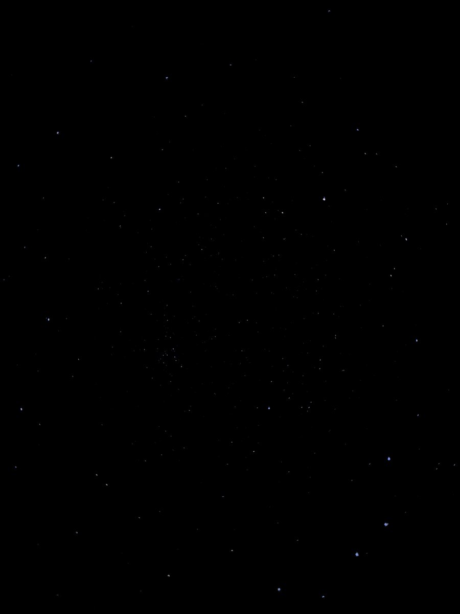 daichan🦈 tweet media