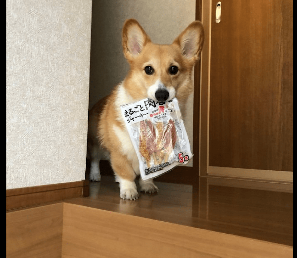 ; kimberlyle tweet media