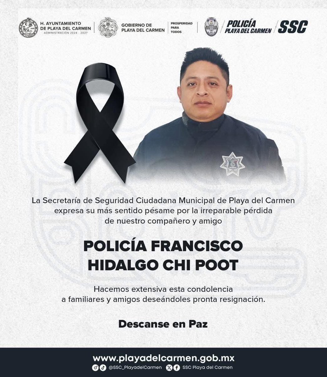 Fátima Vázquez Digital tweet media