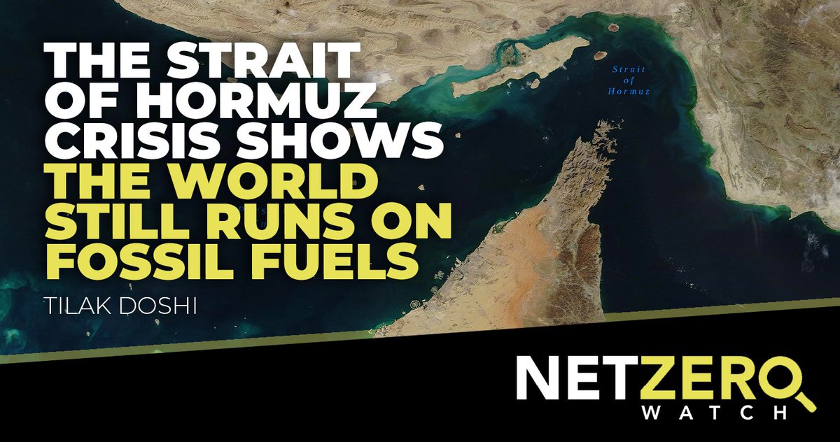 Net Zero Watch tweet media