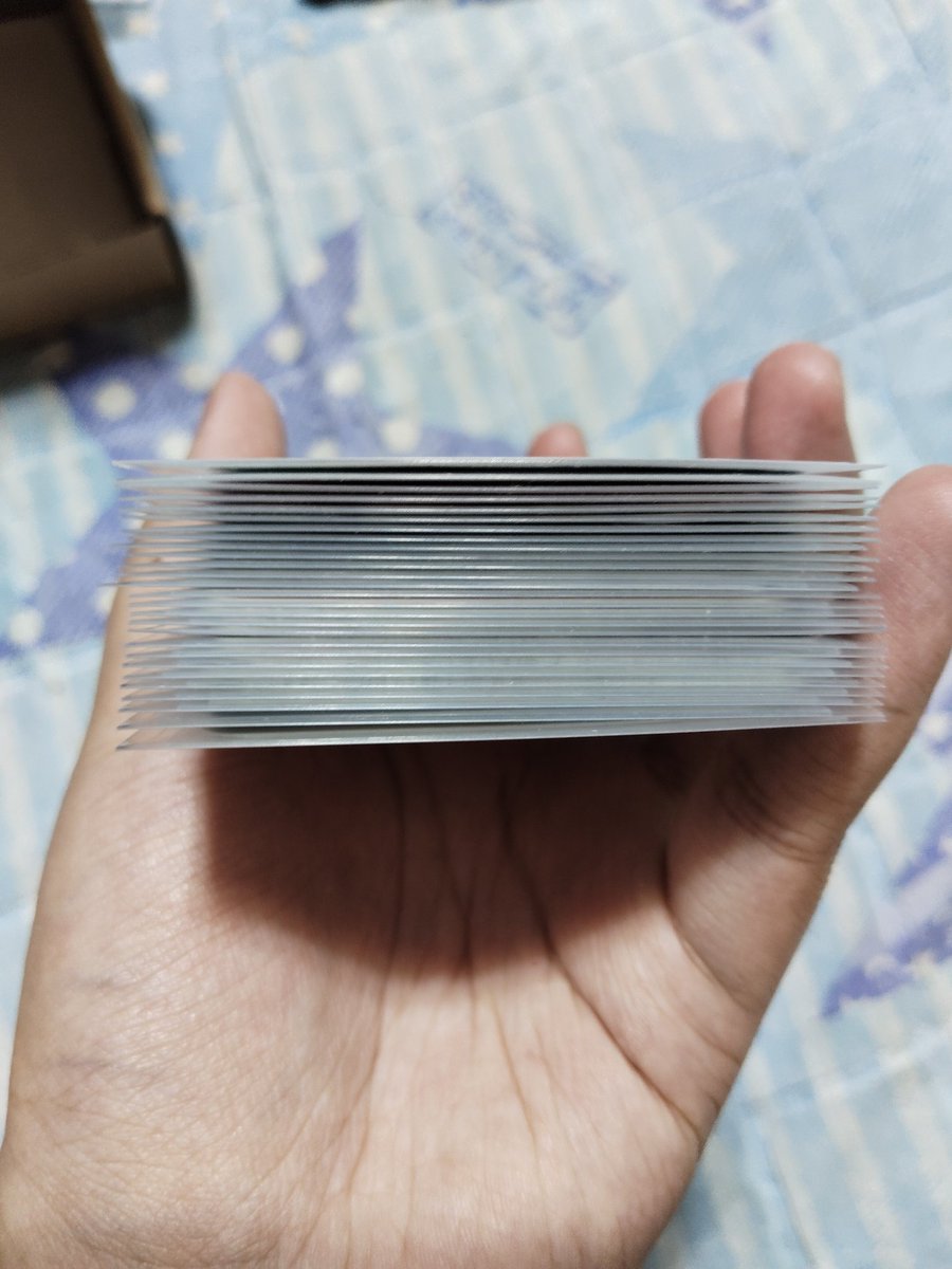 젠젠🐱✨ tweet media