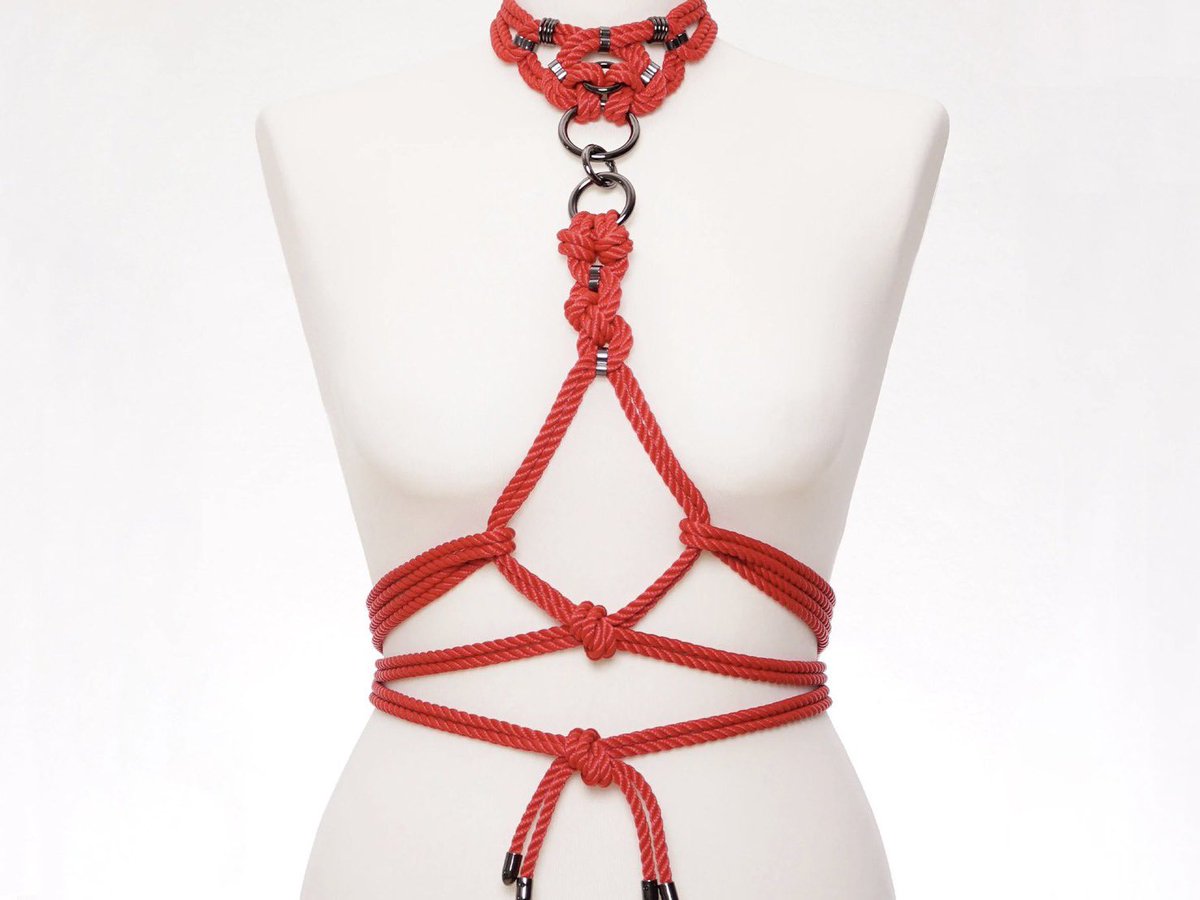 りりかの日常🐕 tweet media