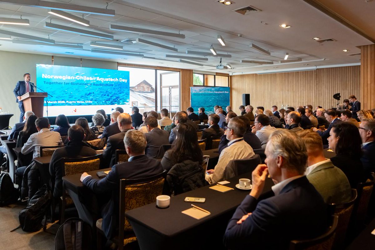 Rodrigo Wainraihgt Galilea tweet media