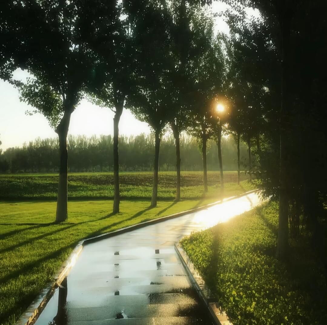 Terri Merritt tweet media