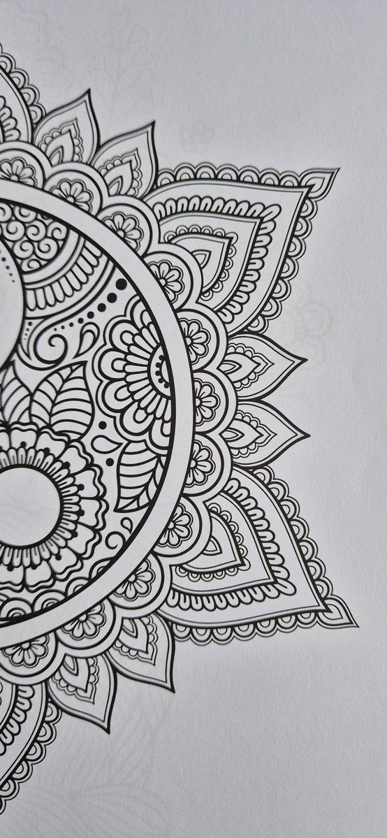 Elif Okumuş tweet media