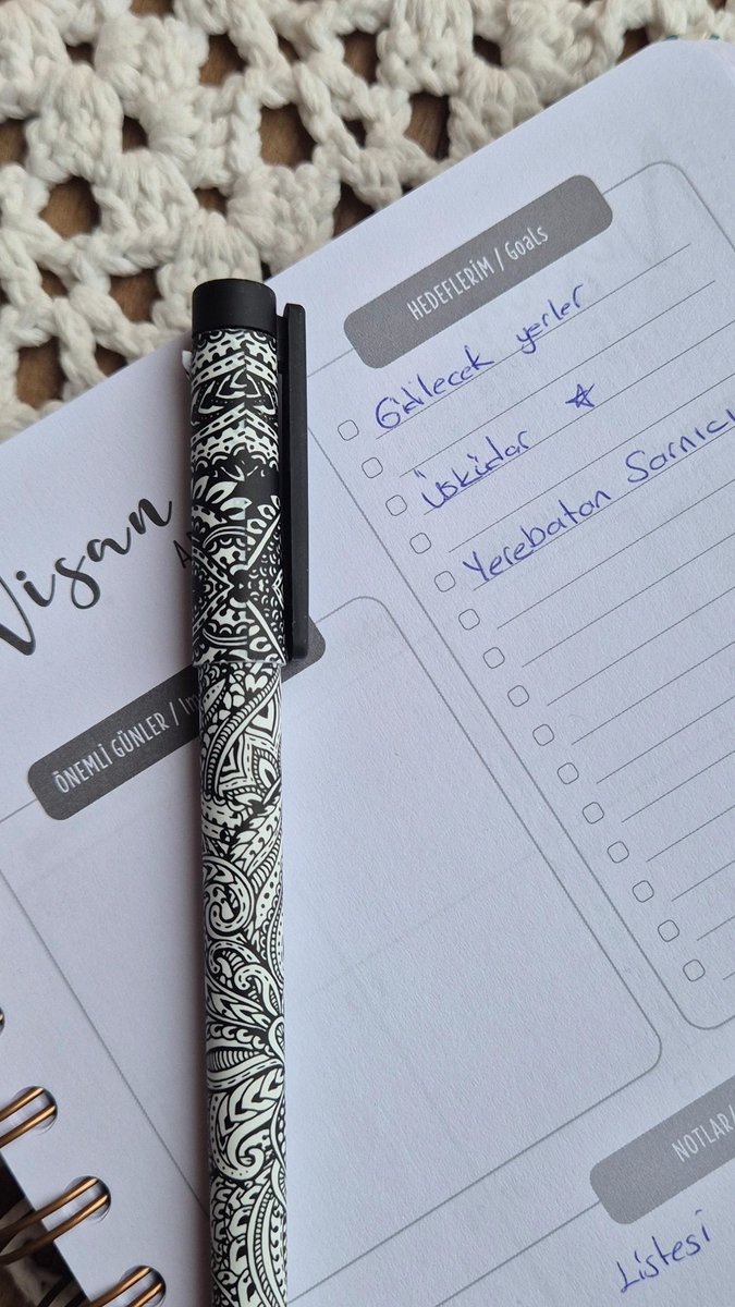 Elif Okumuş tweet media