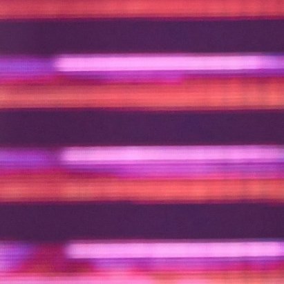 DJERAF Sofiane tweet media