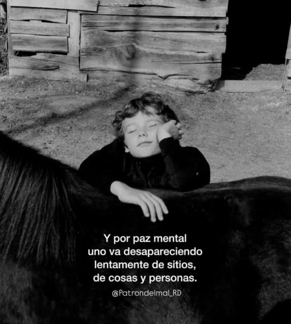 🌙 mini textos tweet media