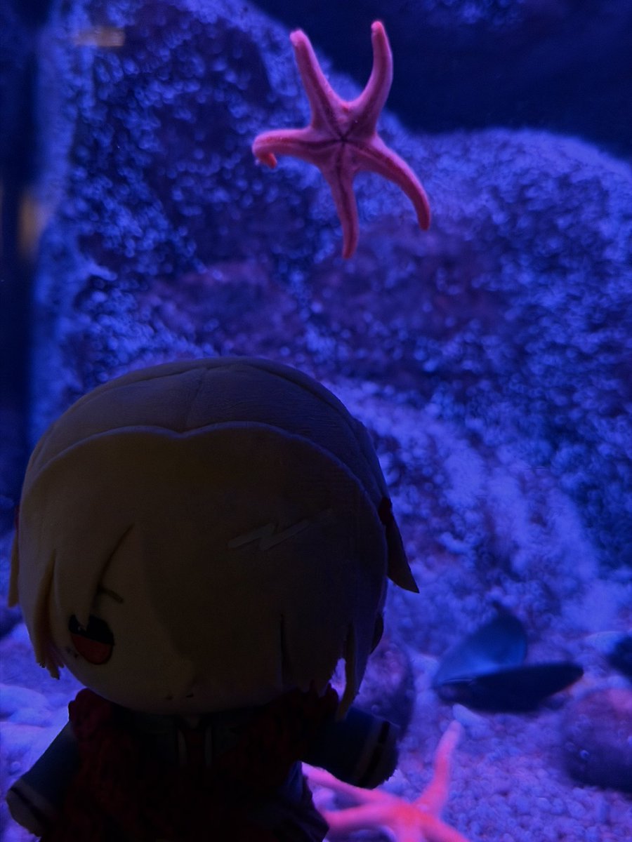 ritsu🦏☄️ tweet media