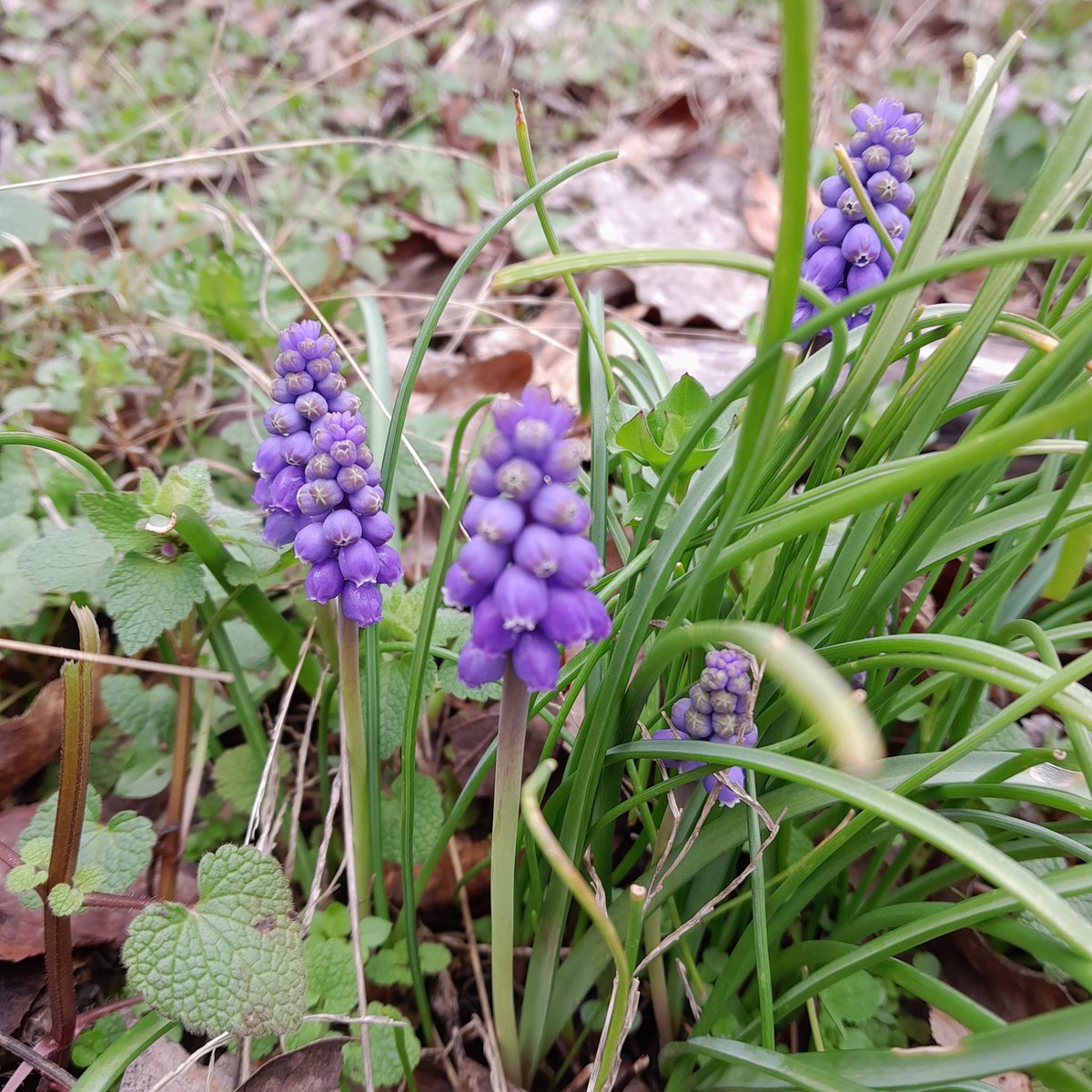 helptheair's tweet image. Air Quality is forecast to be Good Monday and Tuesday, Moderate Wednesday and Thursday, Good Friday. #airquality #breathe #