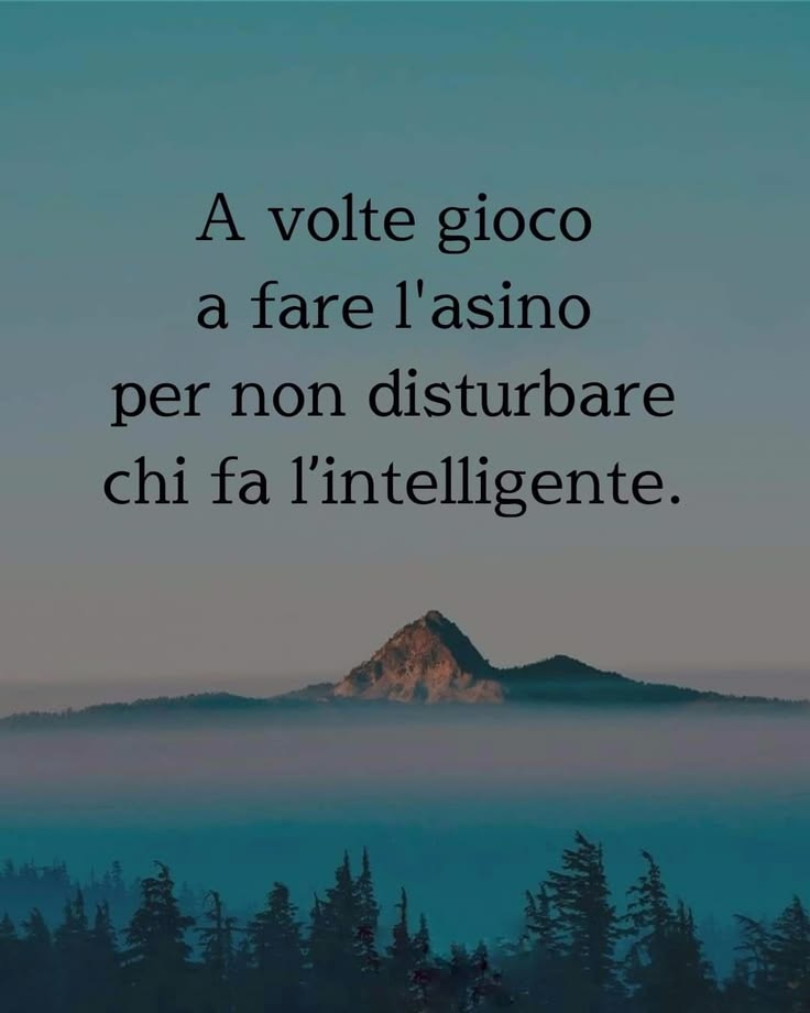 𝓢𝓸𝓰𝓷𝓸 tweet media