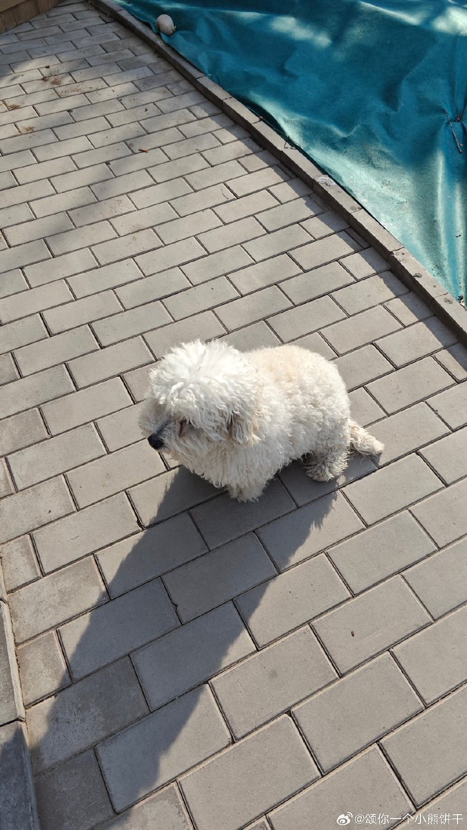 Margaret Oquin tweet media