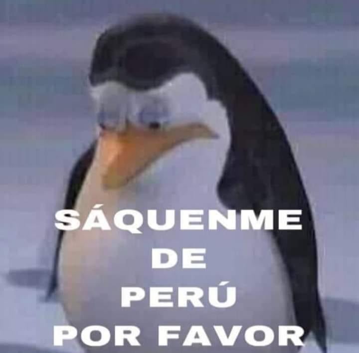 Bluinse 🇵🇪 tweet media