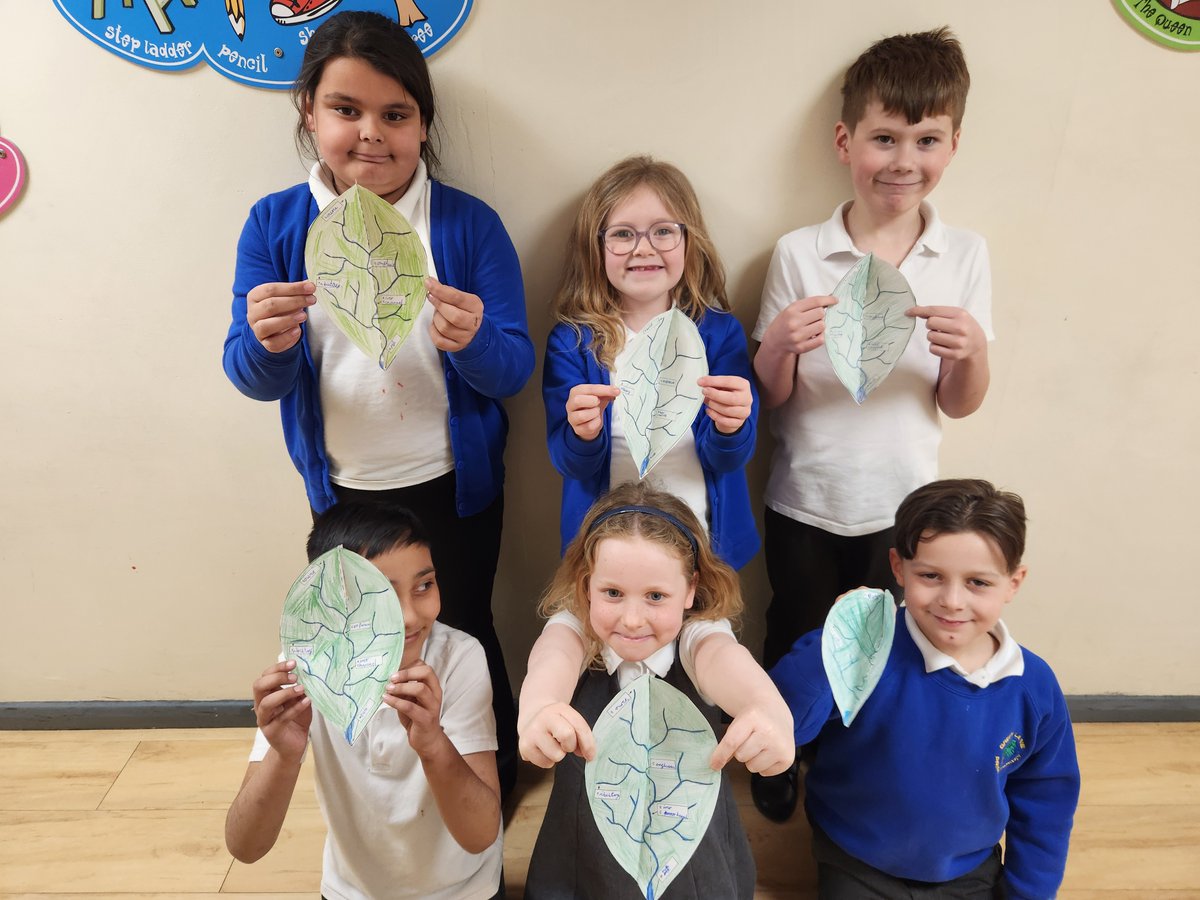 Green Lane Primary Academy tweet media