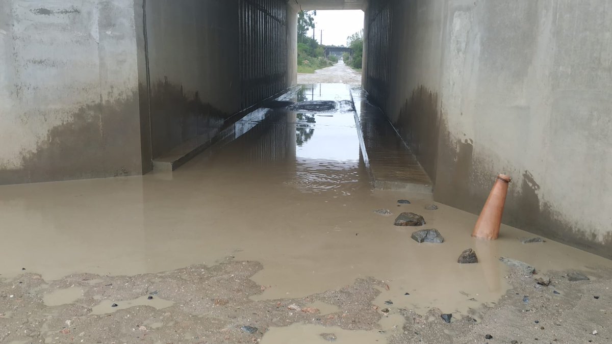 C.W.33 RADIO FLORIDA tweet media