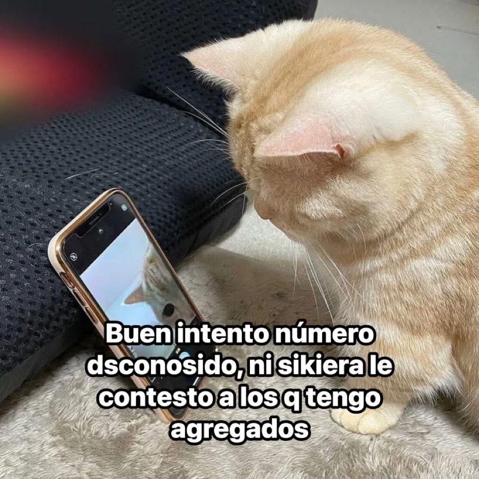 🌙 mini textos tweet media