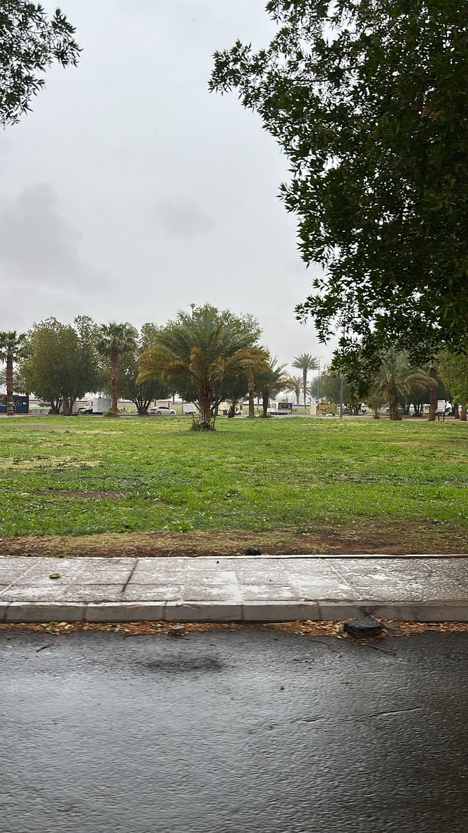 عبدالمجيد tweet media