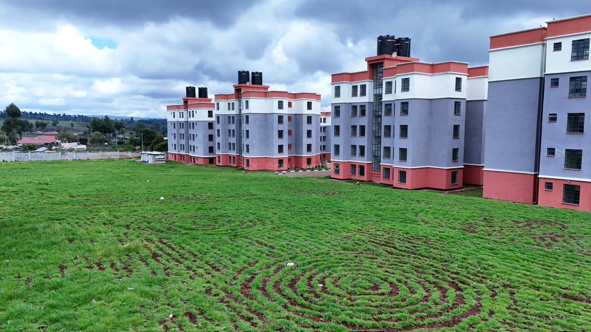 Adel On Politics tweet media