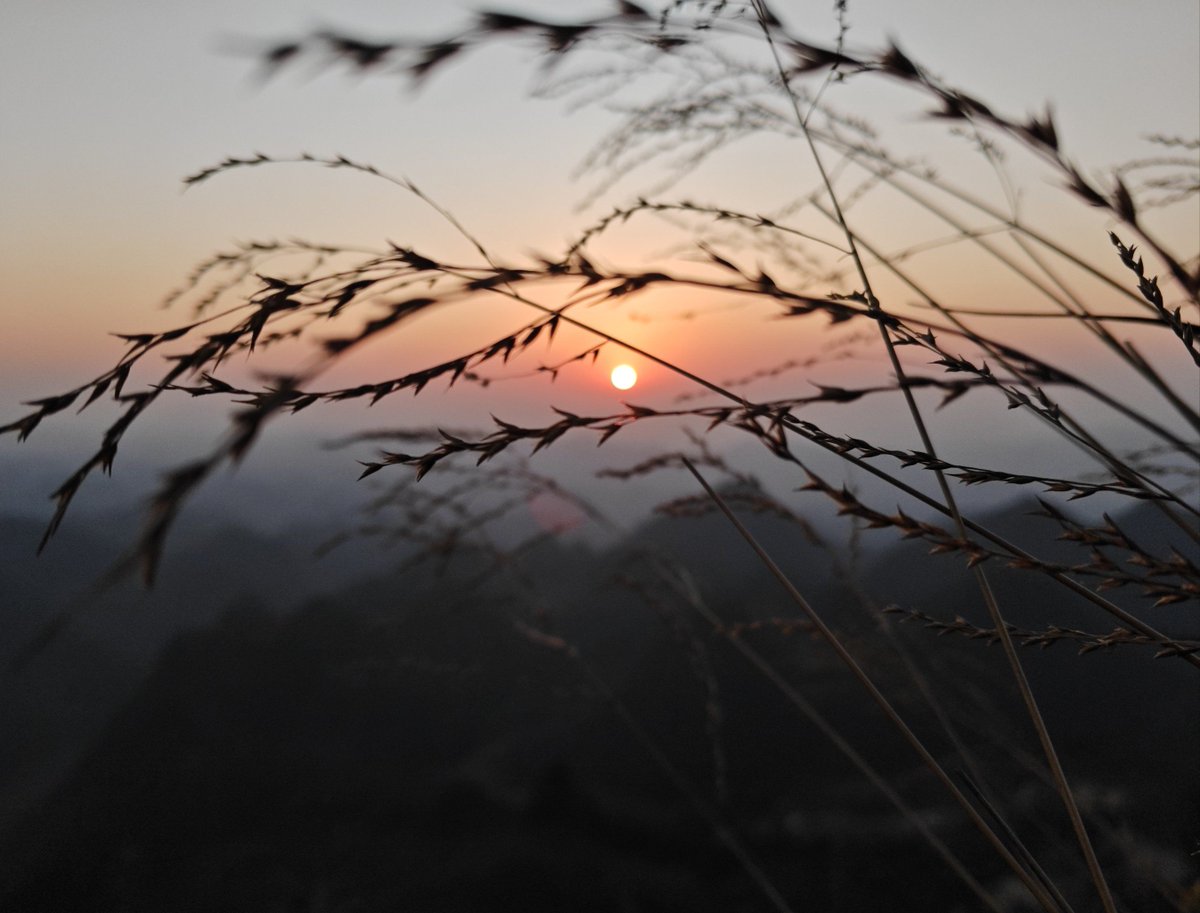 khalid33 tweet media