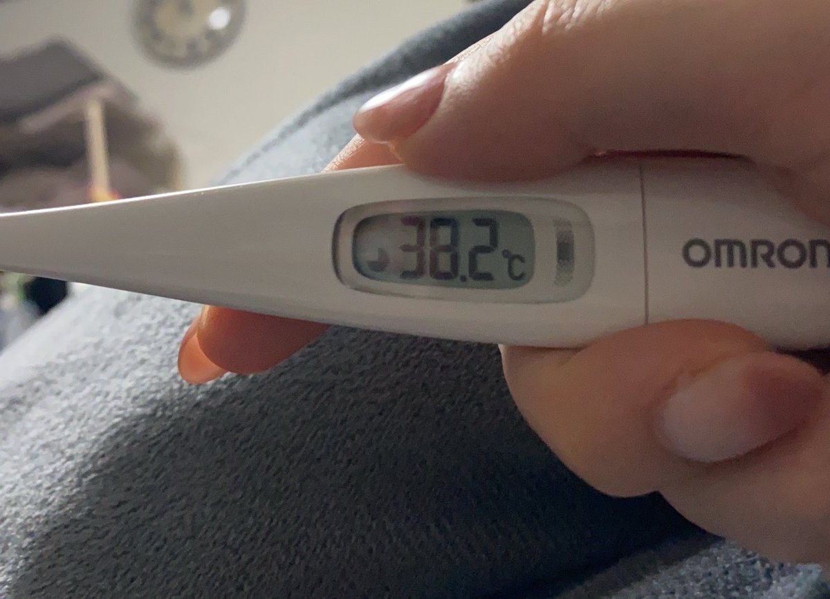 レーネ tweet media