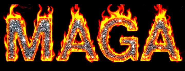 MARK WICK🇺🇸 tweet media