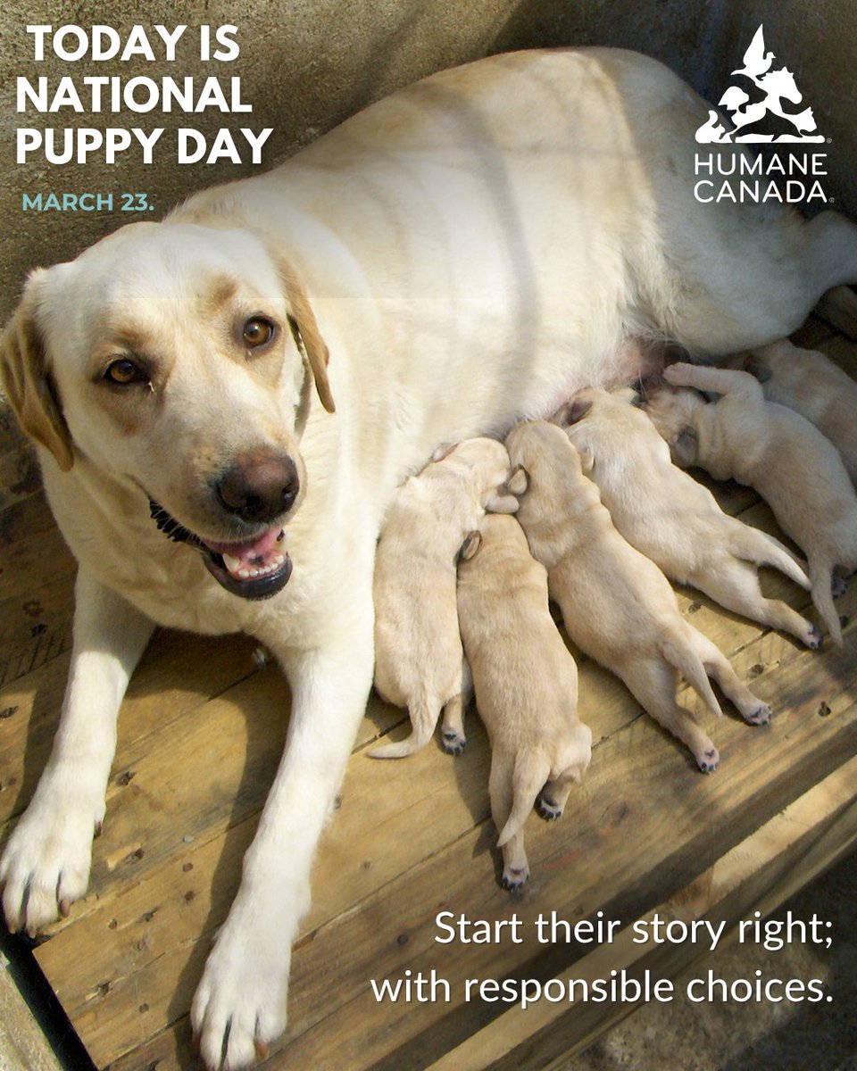 Humane Canada tweet media