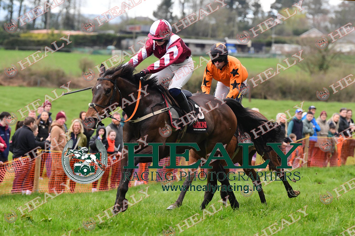 HEALY RACING tweet media