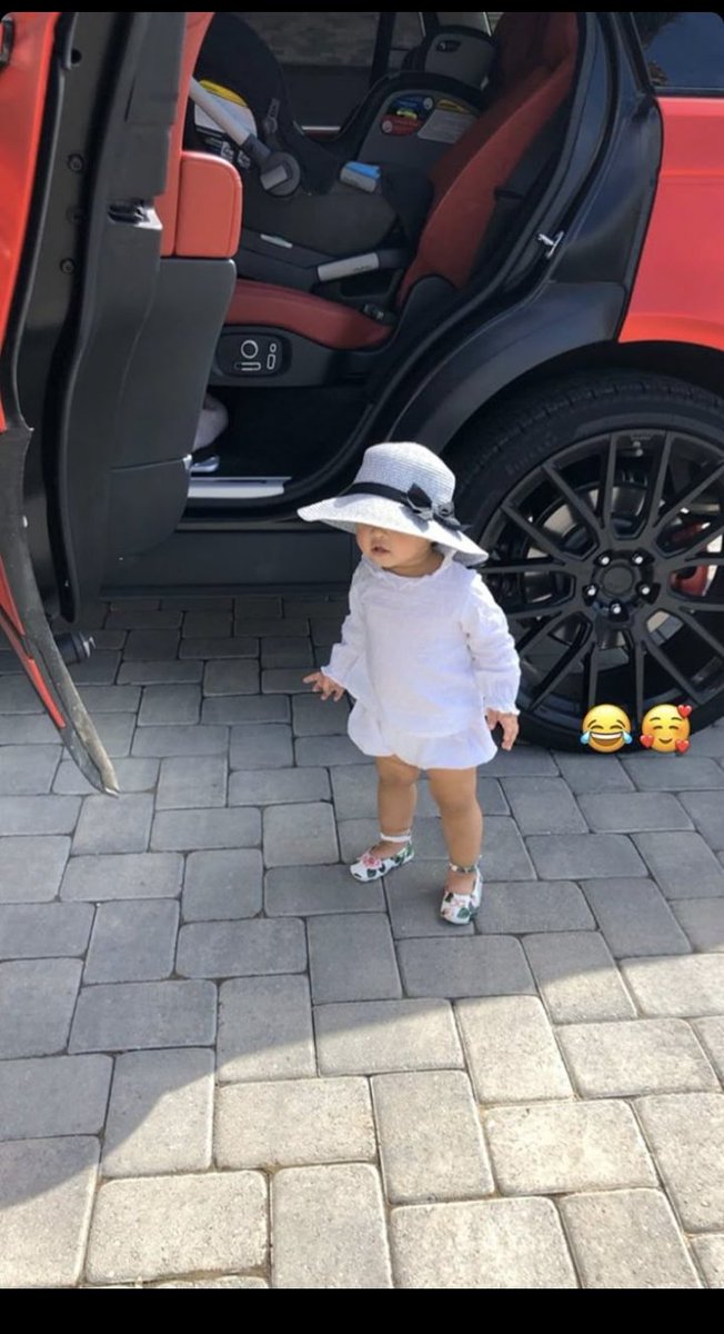 parrotblog_tv001 tweet media