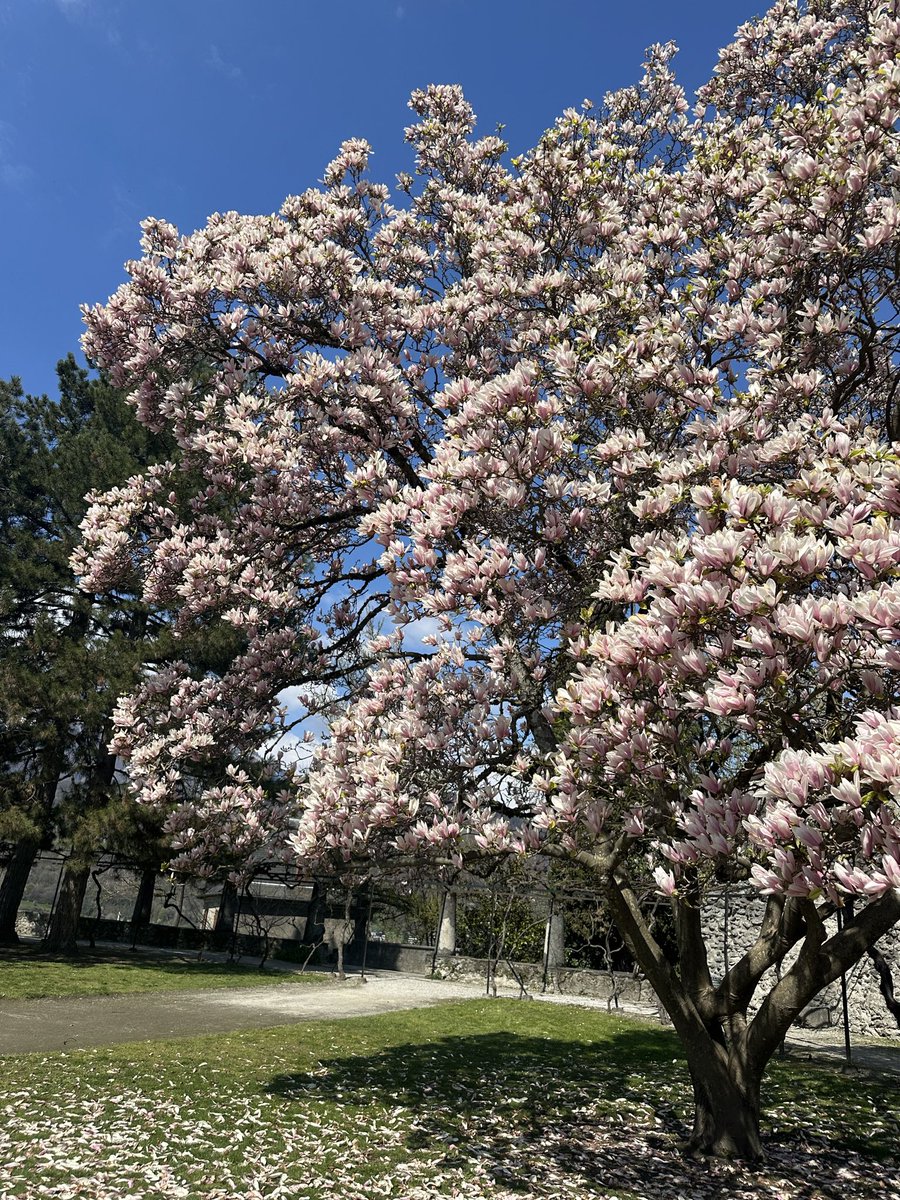 ‎𐰀𐰼𐰉𐰀🌙 tweet media