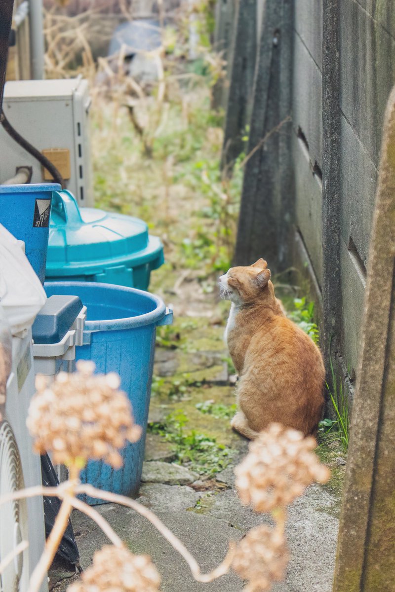 企画のきっかけ アイデアの引き出し tweet media
