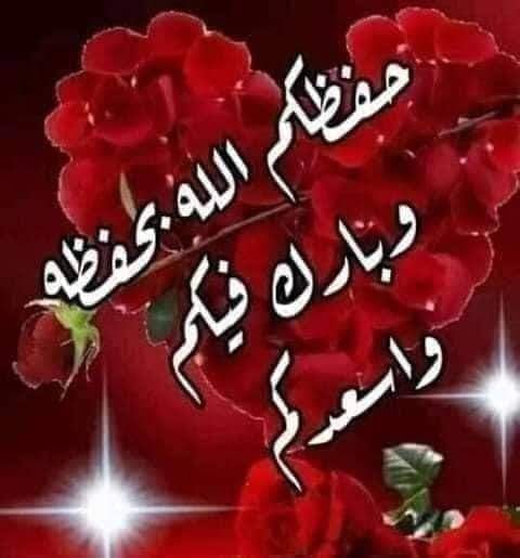 Tarek sabry tweet media