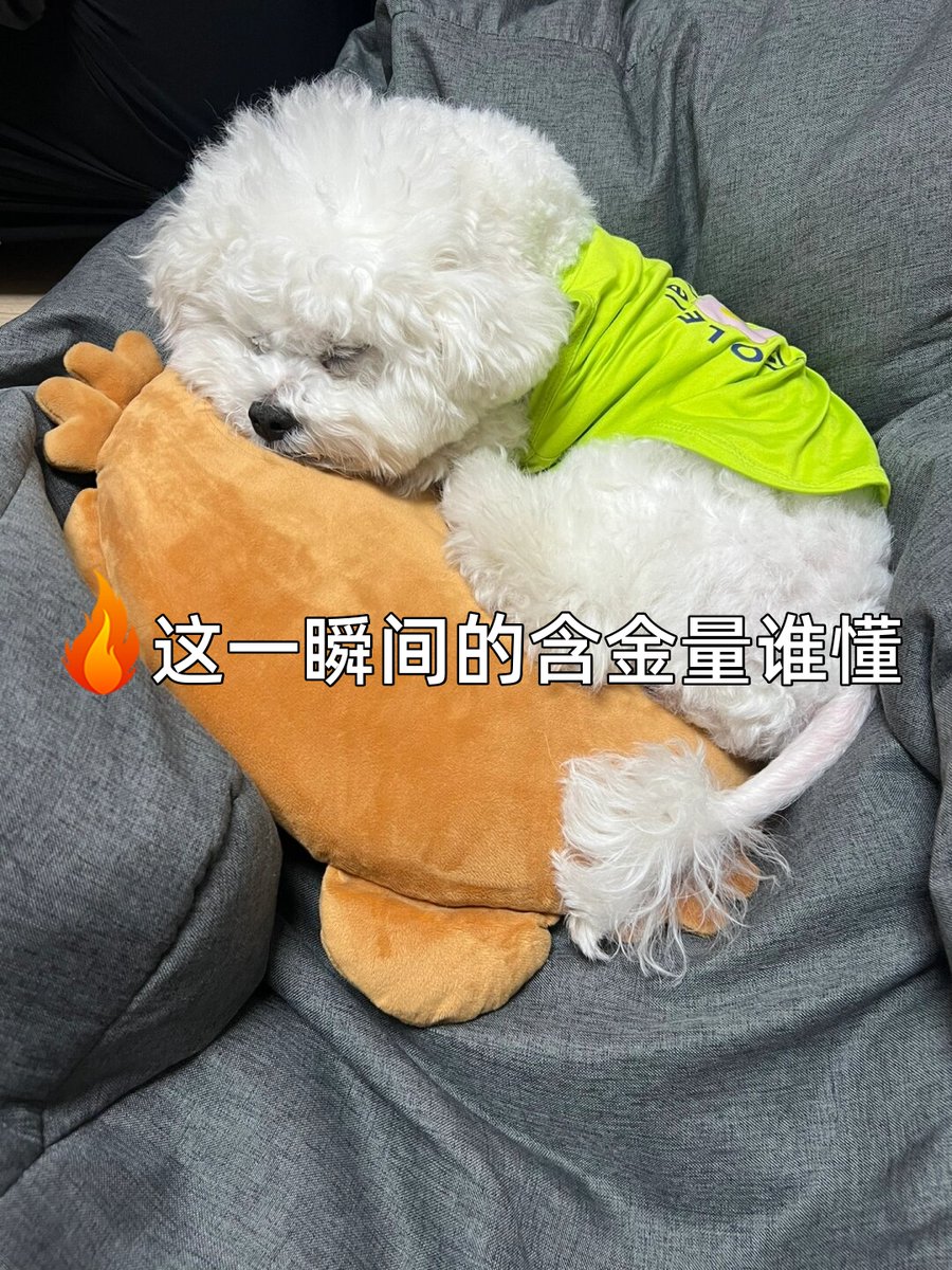 Neil Stein tweet media