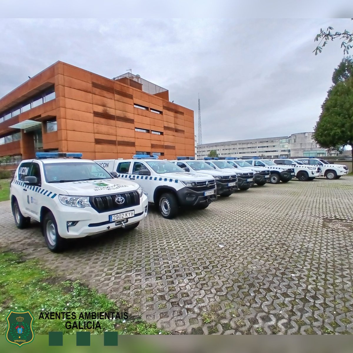 Aprafoga tweet media