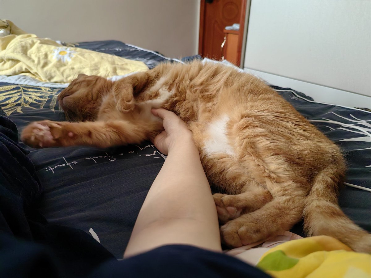 isaias rosas tweet media